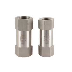 Stainless Steel BSP Internal Thread Check Valve